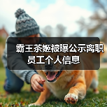 霸王茶姬被曝公示离职员工个人信息(图2) 霸王茶姬被曝公示离职员工个人信息(图2)