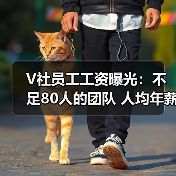 V社员工工资曝光:不足80人的团队 人均年薪百万(图4) V社员工工资曝光:不足80人的团队 人均年薪百万(图4)