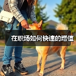 在职场如何快速的增值(图3) 在职场如何快速的增值(图3)