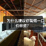 为什么建议你警惕一口价薪资?(图4) 为什么建议你警惕一口价薪资?(图4)
