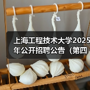 上海工程技术大学2025年公开招聘公告(第四批)(图2) 上海工程技术大学2025年公开招聘公告(第四批)(图2)