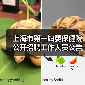 上海市第一妇婴保健院公开招聘工作人员公告（图4）