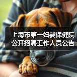 上海市第一妇婴保健院公开招聘工作人员公告（图2）