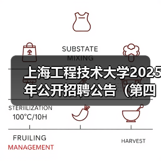 上海工程技术大学2025年公开招聘公告(第四批)(图3) 上海工程技术大学2025年公开招聘公告(第四批)(图3)