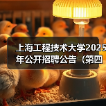 上海工程技术大学2025年公开招聘公告(第四批)(图4) 上海工程技术大学2025年公开招聘公告(第四批)(图4)