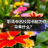 职场中名校背书能为你带来什么？（图4）