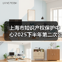 上海市知识产权保护中心2025下半年第二次公开招聘公告（图4）