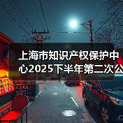 上海市知识产权保护中心2025下半年第二次公开招聘公告（图3）