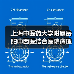 上海中医药大学附属岳阳中西医结合医院病理科负责人岗位公开招聘公告（图2）