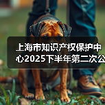 上海市知识产权保护中心2025下半年第二次公开招聘公告（图2）