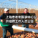 上海市老年医学中心公开招聘工作人员公告（图2）