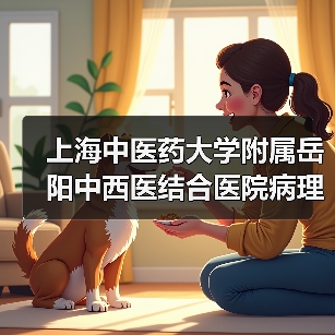 上海中医药大学附属岳阳中西医结合医院病理科负责人岗位公开招聘公告（图4）