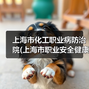 上海市化工职业病防治院(上海市职业安全健康研究院)2025年下半年工作人员公开招聘公告（图4）