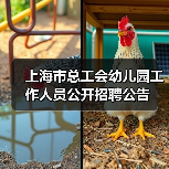 上海市总工会幼儿园工作人员公开招聘公告（图1）