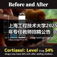 上海工程技术大学2025年专任教师招聘公告(第二批)(图3) 上海工程技术大学2025年专任教师招聘公告(第二批)(图3)