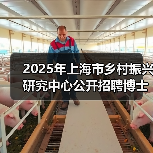 2025年上海市乡村振兴研究中心公开招聘博士研究人员公告(第二轮)(图4) 2025年上海市乡村振兴研究中心公开招聘博士研究人员公告(第二轮)(图4)