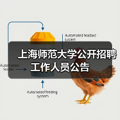 上海师范大学公开招聘工作人员公告（图3）