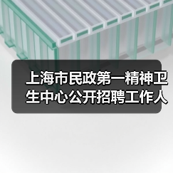 上海市民政第一精神卫生中心公开招聘工作人员公告（图2）