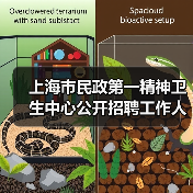 上海市民政第一精神卫生中心公开招聘工作人员公告（图3）