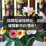 同领导单独相处，如何提高聊天的情商？（图1）