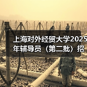 上海对外经贸大学2025年辅导员(第二批)招聘公告(图3) 上海对外经贸大学2025年辅导员(第二批)招聘公告(图3)
