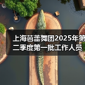 上海芭蕾舞团2025年第二季度第一批工作人员公开招聘公告(图3) 上海芭蕾舞团2025年第二季度第一批工作人员公开招聘公告(图3)
