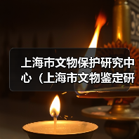 上海市文物保护研究中心(上海市文物鉴定研究中心)2025年公开招聘工作人员公告(图3) 上海市文物保护研究中心(上海市文物鉴定研究中心)2025年公开招聘工作人员公告(图3)