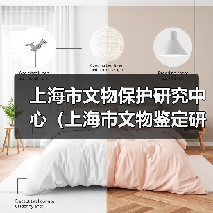 上海市文物保护研究中心(上海市文物鉴定研究中心)2025年公开招聘工作人员公告(图4) 上海市文物保护研究中心(上海市文物鉴定研究中心)2025年公开招聘工作人员公告(图4)