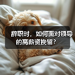 辞职时,如何面对领导的高薪资挽留?(图4) 辞职时,如何面对领导的高薪资挽留?(图4)