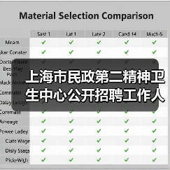 上海市民政第二精神卫生中心公开招聘工作人员公告（图2）