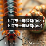 上海市土地储备中心(上海市土地整备中心)2025年公开招聘公告(图4) 上海市土地储备中心(上海市土地整备中心)2025年公开招聘公告(图4)