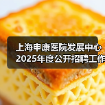 上海申康医院发展中心2025年度公开招聘工作人员公告(图4) 上海申康医院发展中心2025年度公开招聘工作人员公告(图4)