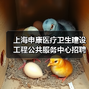 上海申康医疗卫生建设工程公共服务中心招聘公告(图1) 上海申康医疗卫生建设工程公共服务中心招聘公告(图1)