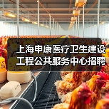 上海申康医疗卫生建设工程公共服务中心招聘公告(图3) 上海申康医疗卫生建设工程公共服务中心招聘公告(图3)