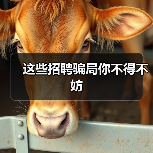这些招聘骗局你不得不妨(图1) 这些招聘骗局你不得不妨(图1)