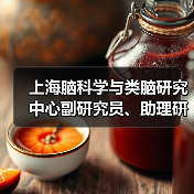 上海脑科学与类脑研究中心副研究员、助理研究员公开招聘公告(图2) 上海脑科学与类脑研究中心副研究员、助理研究员公开招聘公告(图2)
