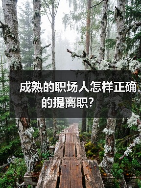成熟的职场人怎样正确的提离职?(图4) 成熟的职场人怎样正确的提离职?(图4)