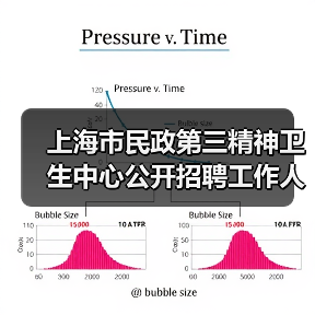 上海市民政第三精神卫生中心公开招聘工作人员公告(图3) 上海市民政第三精神卫生中心公开招聘工作人员公告(图3)