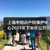 上海市知识产权保护中心2025年下半年公开招聘公告(图2) 上海市知识产权保护中心2025年下半年公开招聘公告(图2)