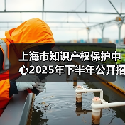 上海市知识产权保护中心2025年下半年公开招聘公告(图3) 上海市知识产权保护中心2025年下半年公开招聘公告(图3)