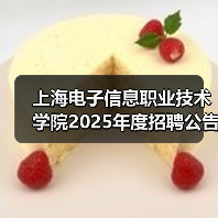 上海电子信息职业技术学院2025年度招聘公告(第三批次)(图4) 上海电子信息职业技术学院2025年度招聘公告(第三批次)(图4)
