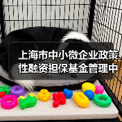 上海市中小微企业政策性融资担保基金管理中心2025年招聘公告(图2) 上海市中小微企业政策性融资担保基金管理中心2025年招聘公告(图2)