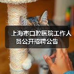 上海市口腔医院工作人员公开招聘公告(图2) 上海市口腔医院工作人员公开招聘公告(图2)