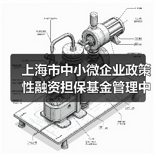 上海市中小微企业政策性融资担保基金管理中心2025年招聘公告(图3) 上海市中小微企业政策性融资担保基金管理中心2025年招聘公告(图3)