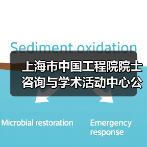 上海市中国工程院院士咨询与学术活动中心公开招聘公告(图1) 上海市中国工程院院士咨询与学术活动中心公开招聘公告(图1)