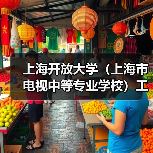 上海开放大学（上海市电视中等专业学校）工作人员公开招聘公告（2025年）（图2）