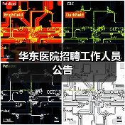 华东医院招聘工作人员公告(图1) 华东医院招聘工作人员公告(图1)