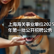 上海海关事业单位2025年第一批公开招聘公告(图2) 上海海关事业单位2025年第一批公开招聘公告(图2)