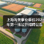 上海海关事业单位2025年第一批公开招聘公告(图4) 上海海关事业单位2025年第一批公开招聘公告(图4)