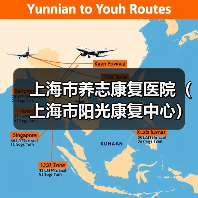 上海市养志康复医院(上海市阳光康复中心)工作人员公开招聘公告(图2) 上海市养志康复医院(上海市阳光康复中心)工作人员公开招聘公告(图2)